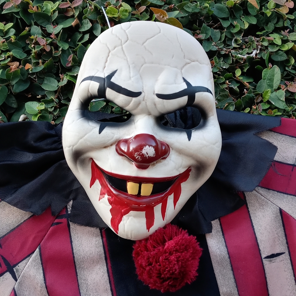 Nightmare Clown costume